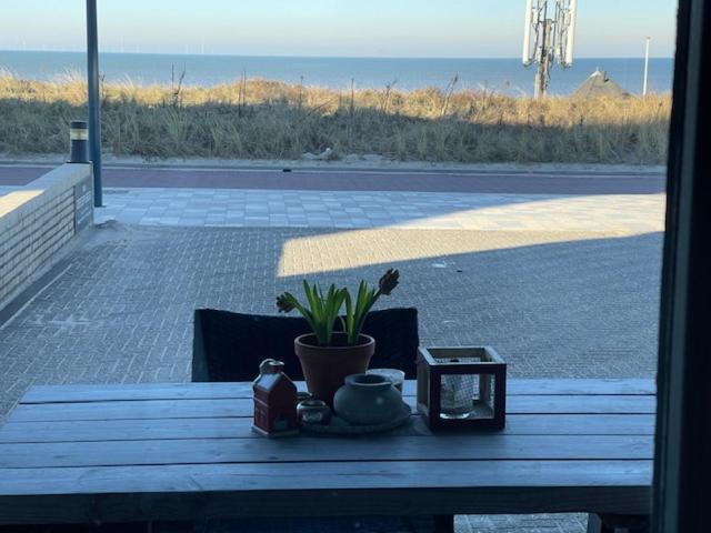 B&B Zeespiegel Zandvoort Ngoại thất bức ảnh