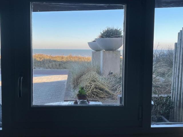 B&B Zeespiegel Zandvoort Ngoại thất bức ảnh